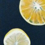 Zitrusfrüchte Acryl auf Leinwand - 35 x 130
